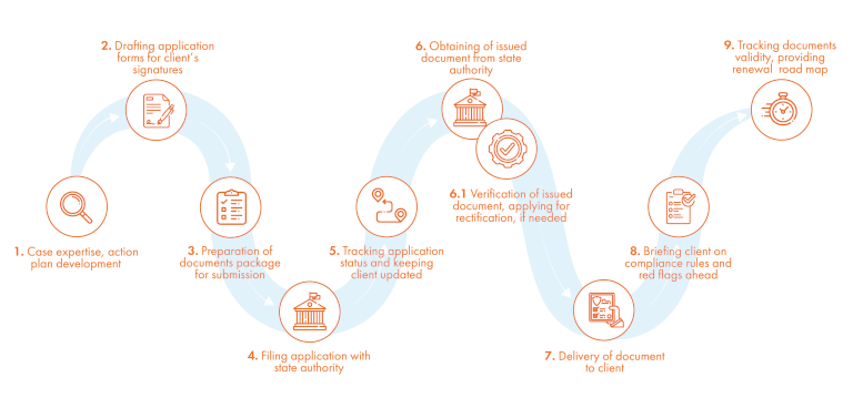 Immigration process flow