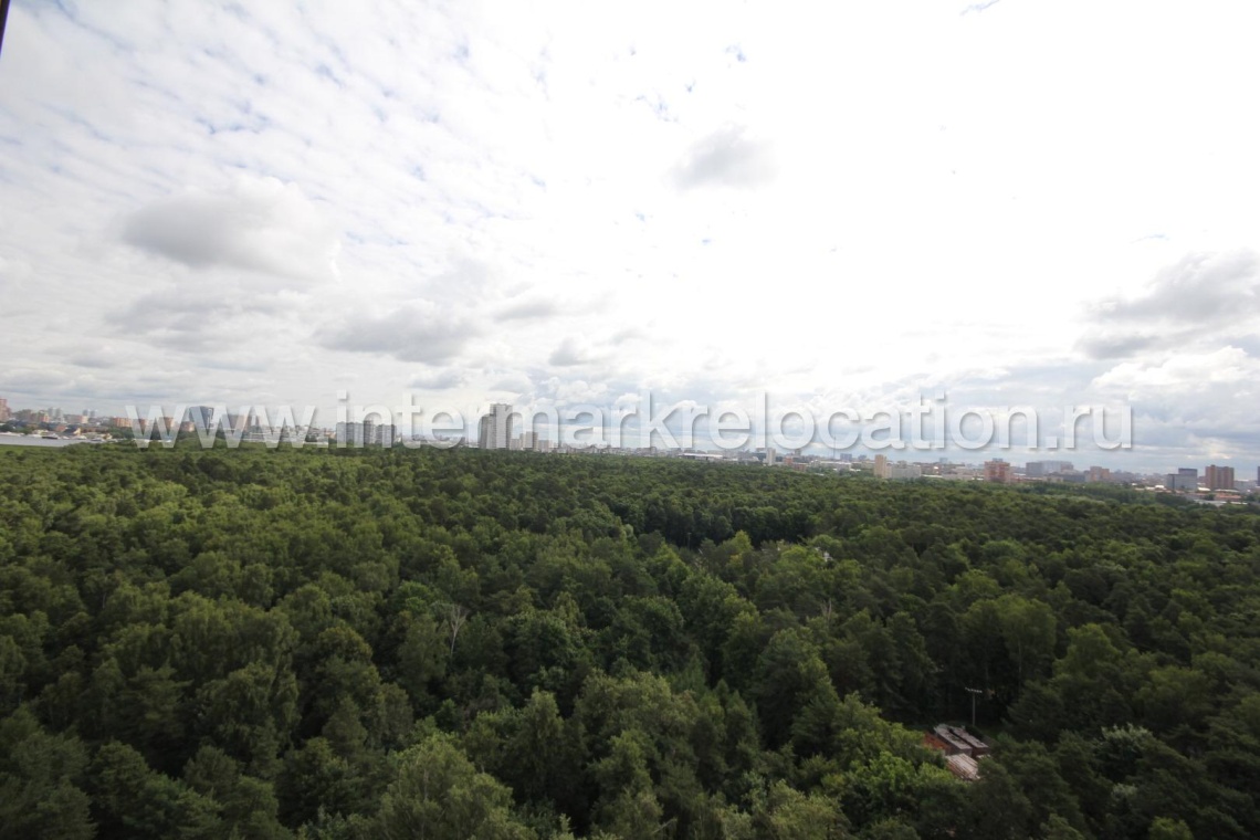 Ivankovskoye Shosse - ID: 19404 - photo 3
